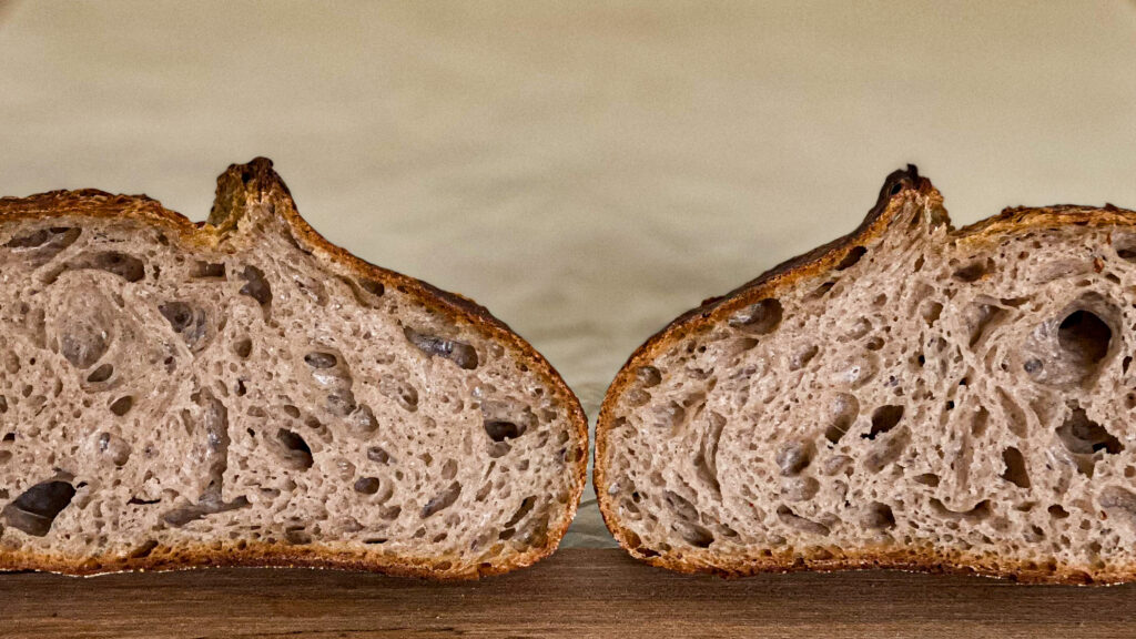purple wheat sourdough crumbshot